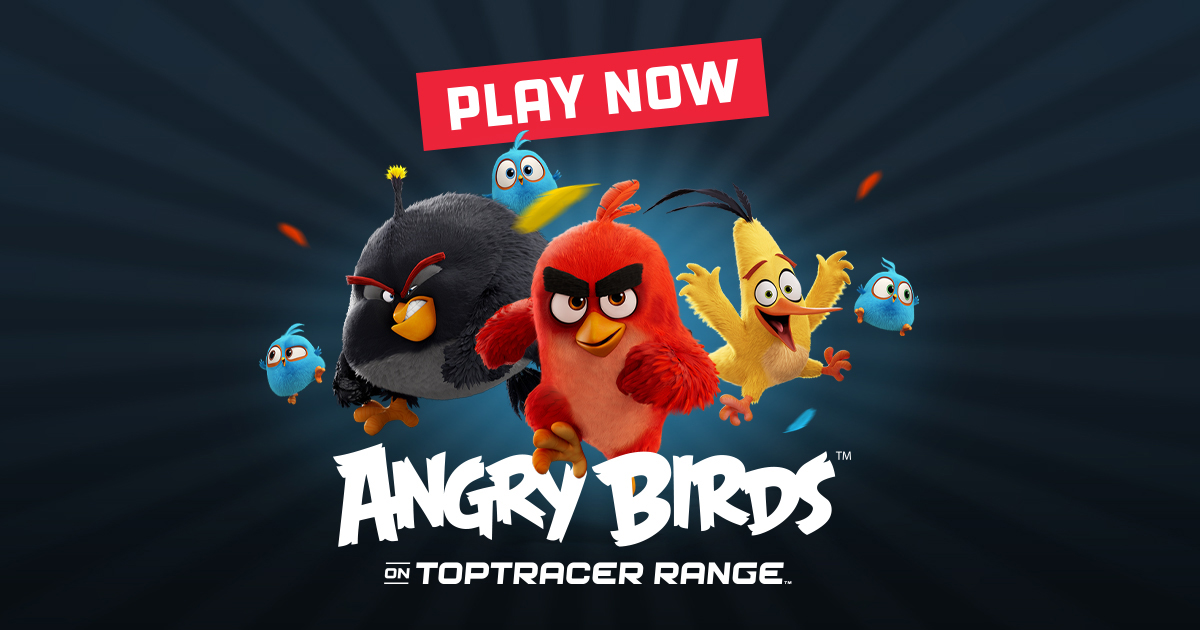 Angry Birds Game Now Available